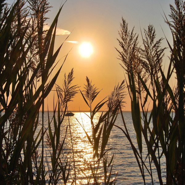 Keilrahmenbild Sylt
