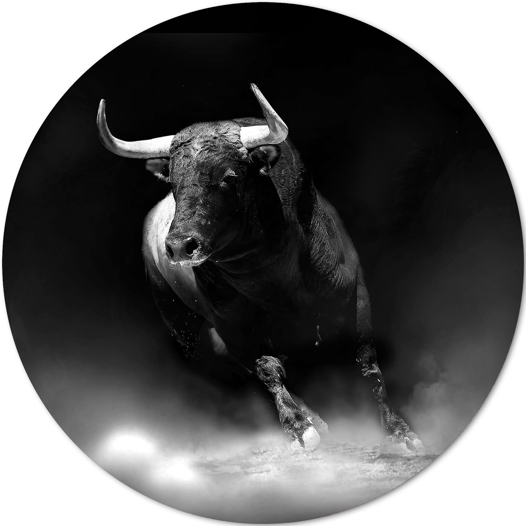Aludibondbild Fighting Bull Metallbilder Bilder Rahmen Accessoires Alles Wohnen Dieser Welt Im Einrichtungs Centrum Und Auf Ostermann De Aludibondbild Fighting Bull Metallbilder Bilder Rahmen Accessoires Alles Wohnen Dieser Welt Im Einrichtungs Centrum Und Auf Ostermann De