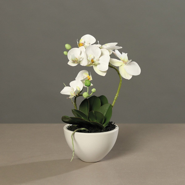 Kunstblume Orchidee