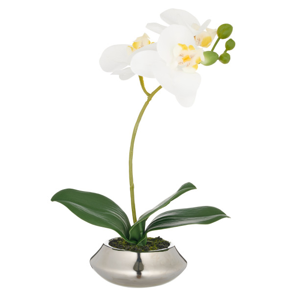 Kunstpflanze Phalaenopsis