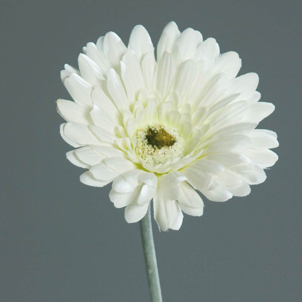 Kunstblume Gerbera