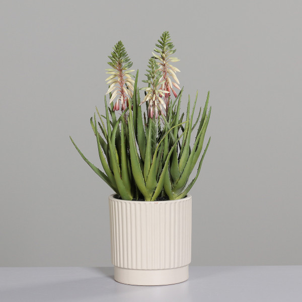 Kunstpflanze Aloe Vera in grün aus Kunststoff