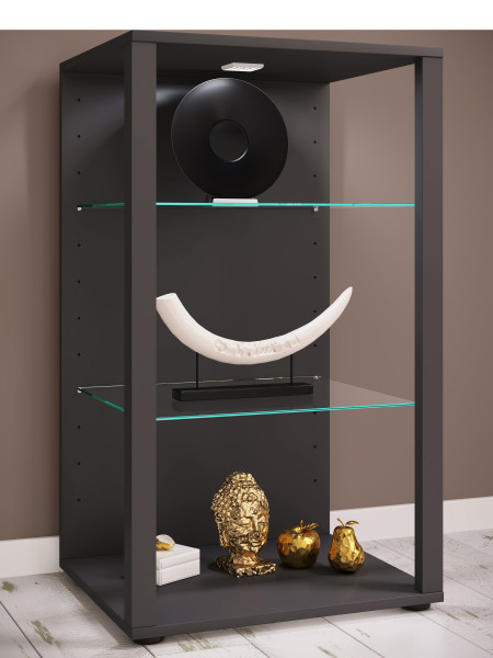 Vitrine GLASOL aus Dekor