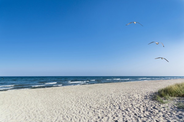 Akustikbild EINSAMER STRAND aus Materialmix