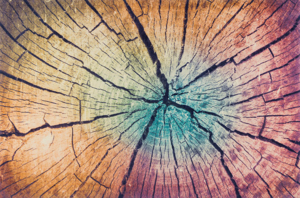 Fußmatte WOOD Land