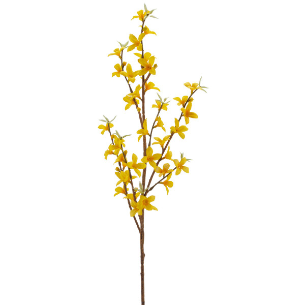 Kunstblume Forsythie
