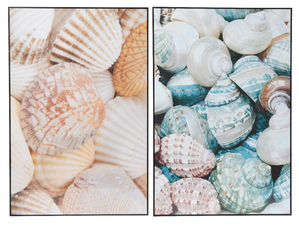 Bild MUSCHELN in mehrfarbig aus Papier