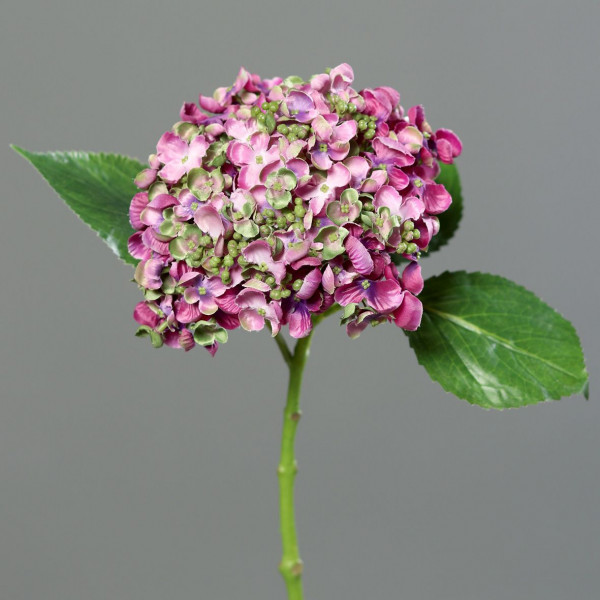 Kunstpfanze Hortensie fuchsia