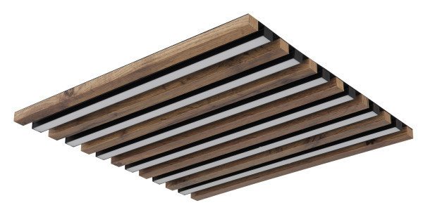 Deckenleuchte HAYDEN in schwarz aus Metall