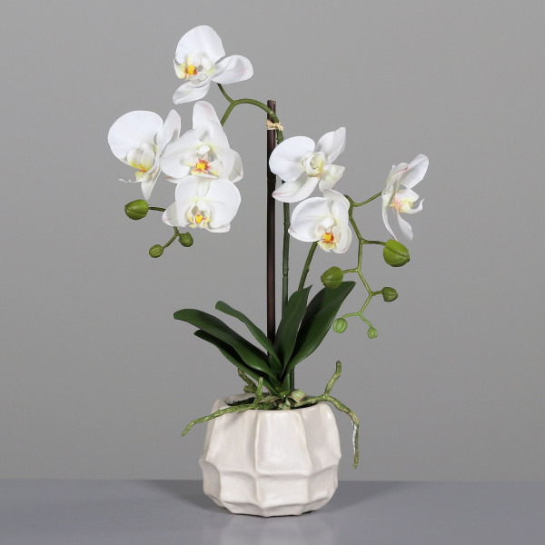 Kunstblume Orchidee in creme aus Kunststoff