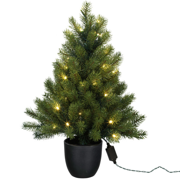 Tannenbaum LED