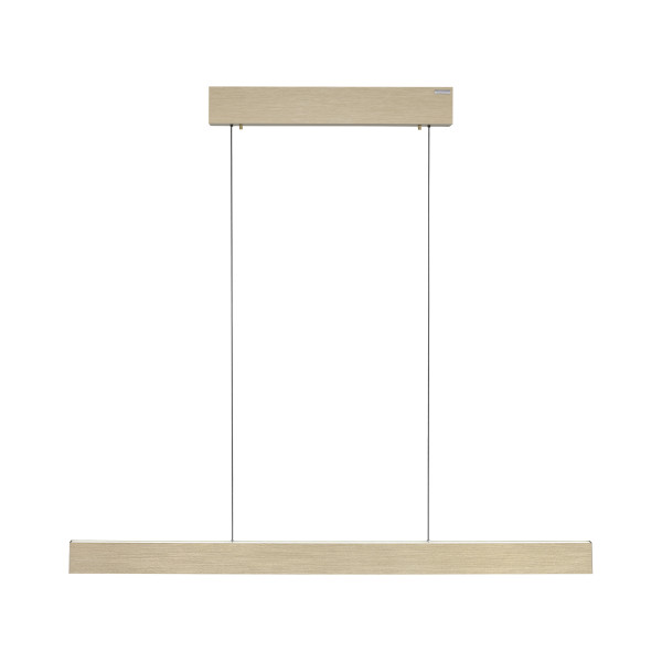 Pendelleuchte PURE E-MOTION in goldfarben aus Metall