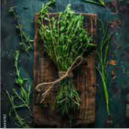 Glasbild HERBAL BUNCH