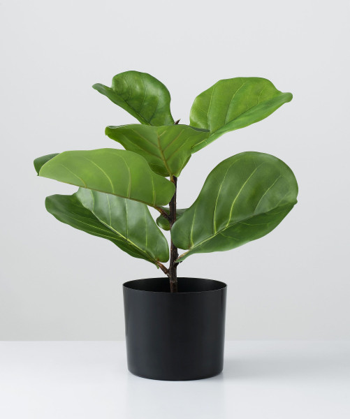Kunstpflanze FICUS LYRATA in grün aus Kunststoff