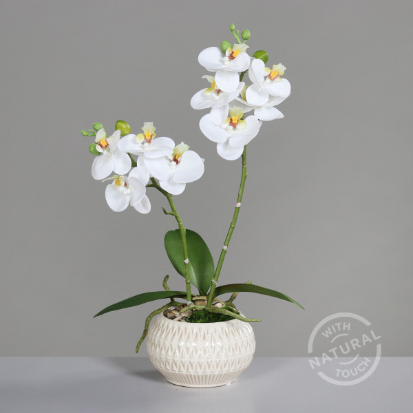 Kunstblume Orchidee