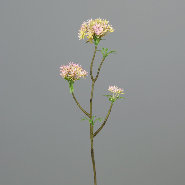 Kunstblume BOWARDIENZWEIG