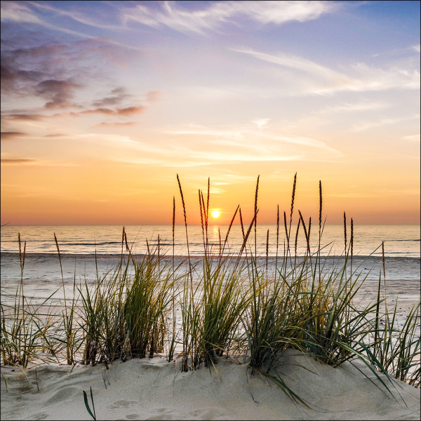 Glasbild LONELY DUNE