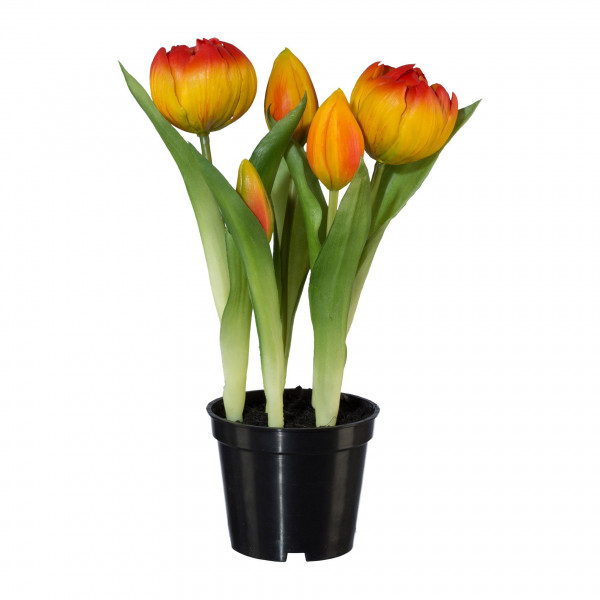 Kunstblume Tulpe