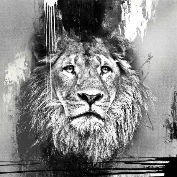 Originalbild LION