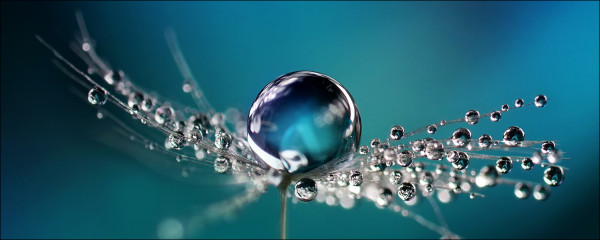 Glasbild DROP ON WATER
