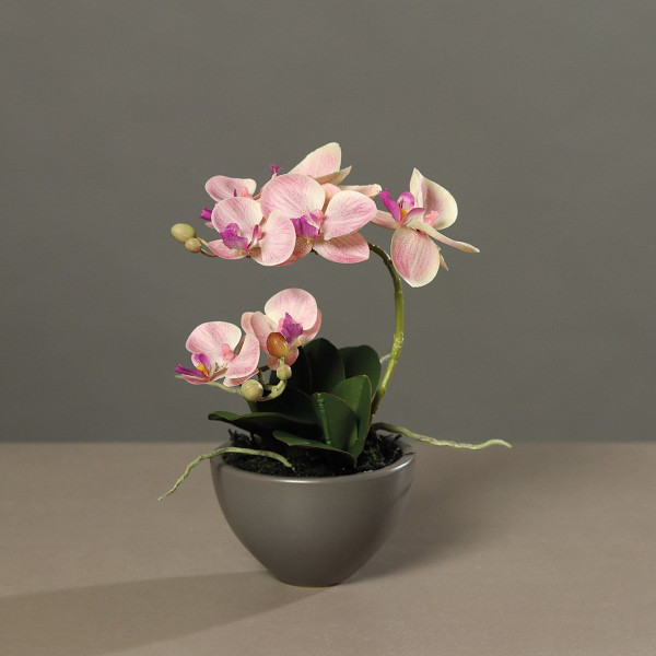 Kunstblume Orchidee