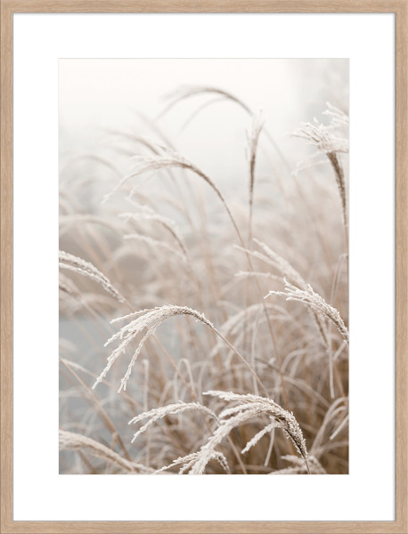 Kunstdruck LISTEN... in natur