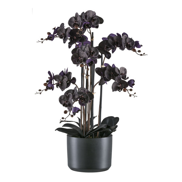 Kunstpflanze Phalaenopsis in schwarz aus Kunststoff