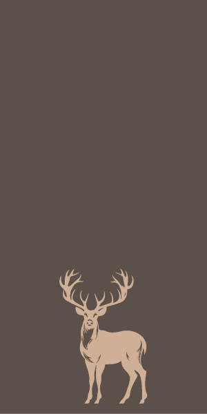 Duschtuch HIRSCH