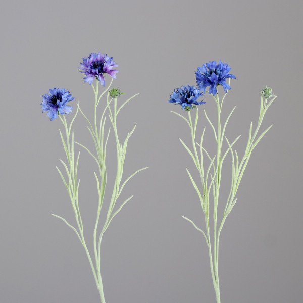 Kunstblume Kornzweig