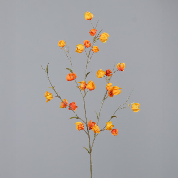 Kunstblume Physalis-Zweig