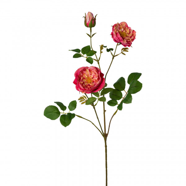 Kunstblume ROSENZWEIG