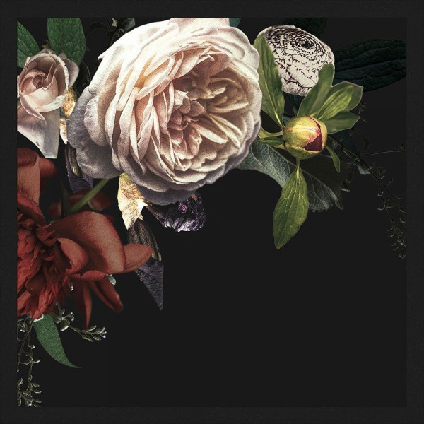 Big Rose (LB 30x30 cm)