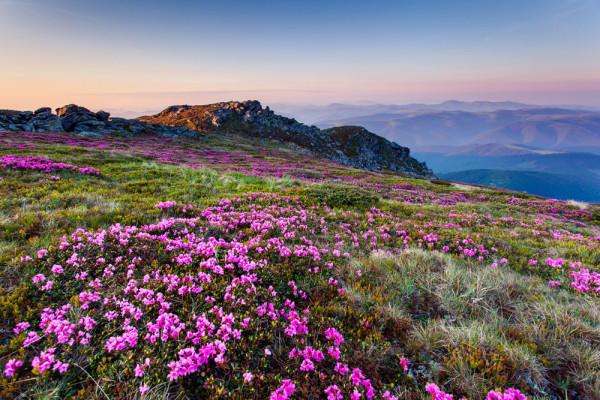 Akustikbild ALPENLANDSCHAFT aus Materialmix