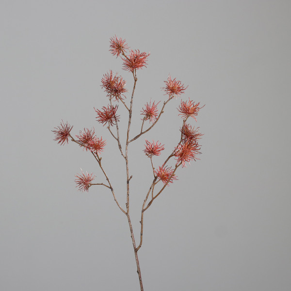 Kunstblume Hamamelis-