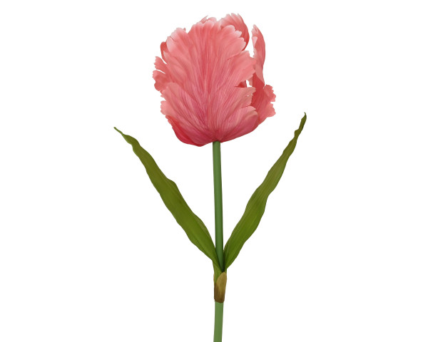 Kunstblume TULPE