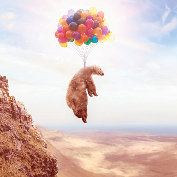 Akustikbild FLIEGENDER BÄR aus Materialmix