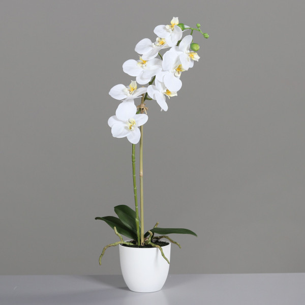 Orchidee weiß in weiß aus Kunststoff