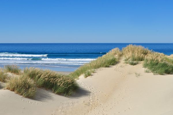 Kunstdruck DÜNEN AM MEER I