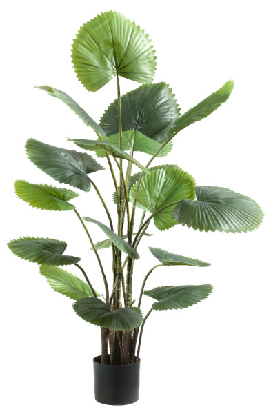 Kunstpflanze FÄCHERPALME in grün aus Kunststoff