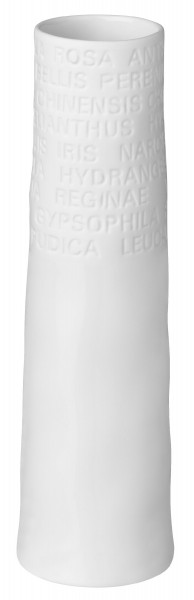 Vase in weiß aus Porzellan