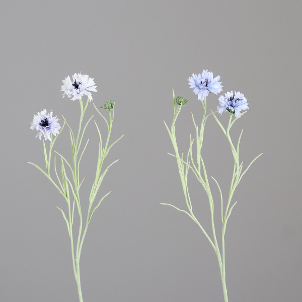 Kunstblume Kornzweig