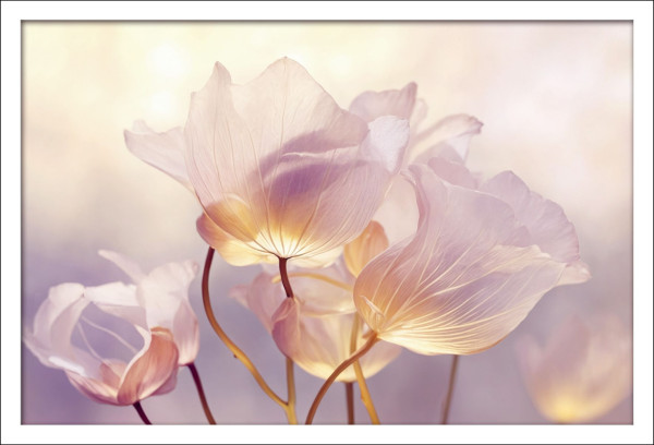 Gerahmtes Bild FLOWERS in mehrfarbig aus Holz