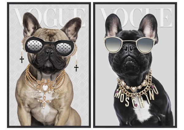 Bild GLAMOROUS DOGS in schwarz aus Kunststoff