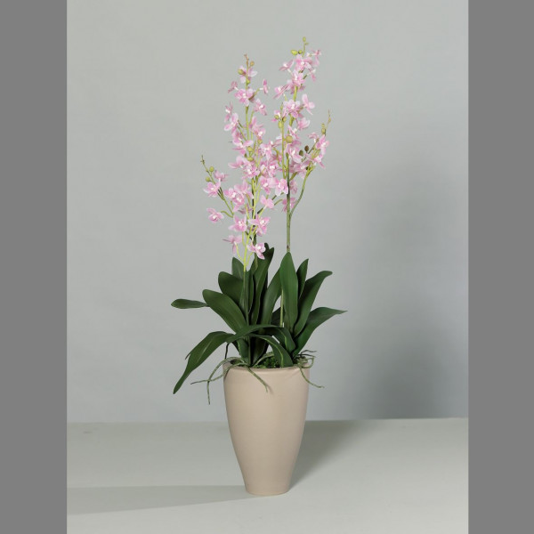 Kunstblume Oncydie pink/weiß