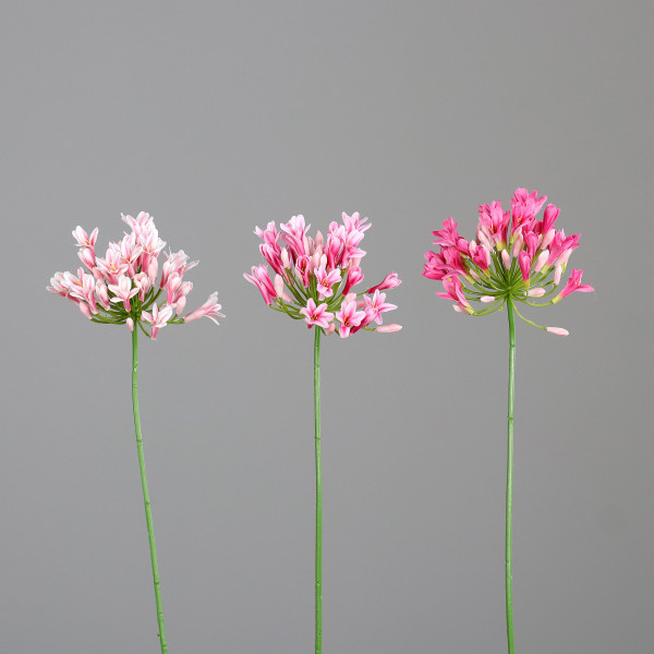 Kunstblume Agapanthus