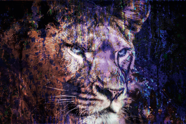 Akustikbild LÖWE IN BLAU aus Materialmix