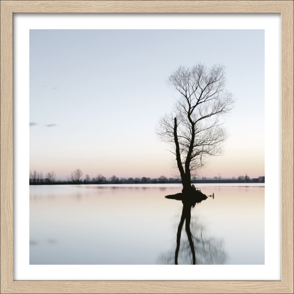 Gerahmtes Bild TREE IN A LAKE