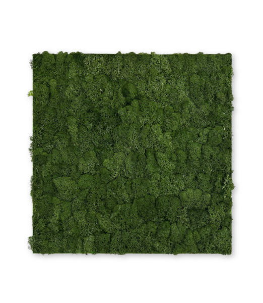 Wandpaneel MODULAR WALL in grün aus Materialmix