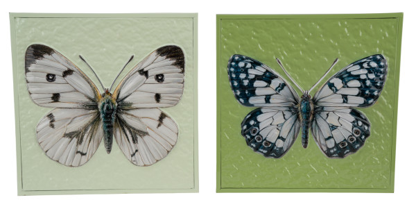 Wandbild BUTTERFLY in grün aus Metall