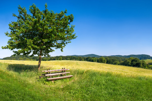 Akustikbild BAUM MIT BANK aus Materialmix